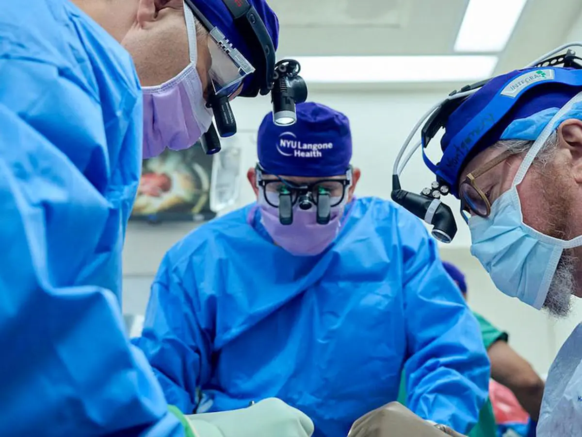 کلیه خوک دو ماه کامل در بدن یک انسان به کار خود ادامه داد