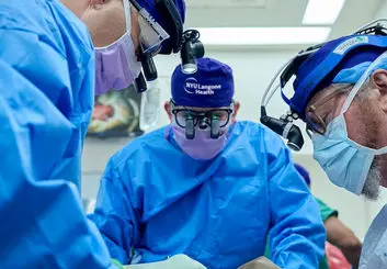 کلیه خوک دو ماه کامل در بدن یک انسان به کار خود ادامه داد