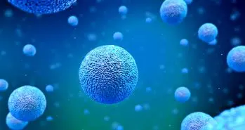 کشف نوع جدیدی از سلول های بنیادی