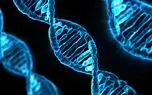 کشف DNA باستانی در بشر امروزی
