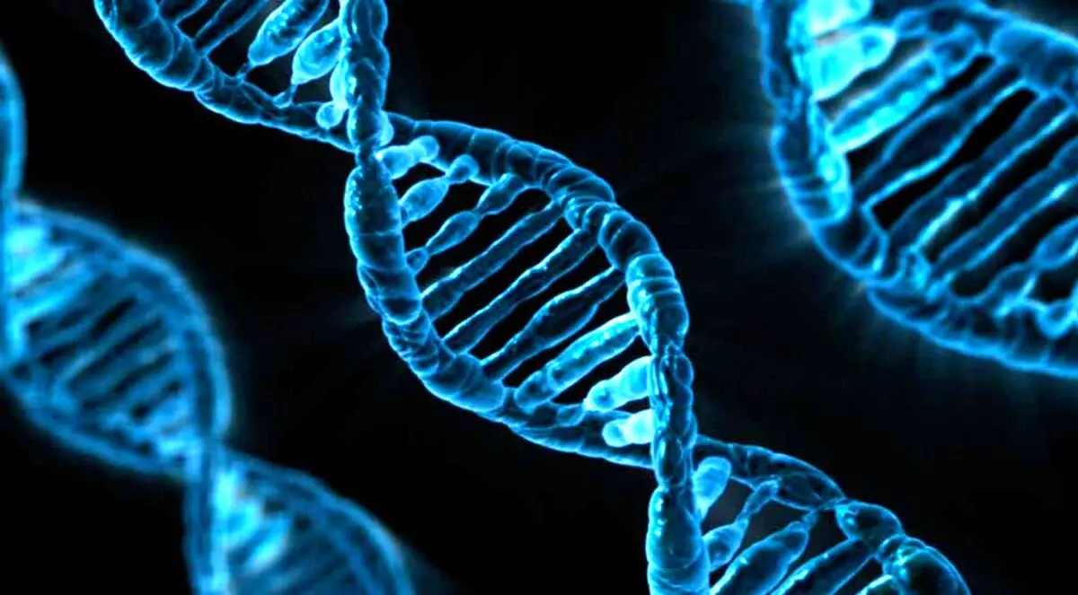 کشف DNA باستانی در بشر امروزی
