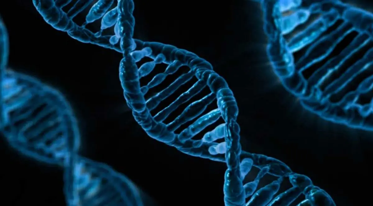 کشف DNA باستانی در بشر امروزی