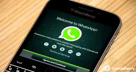شکست بلک‌بری در جلب حمایت فیسبوک
