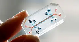 Google Glass در خدمت فناوری 'اعضا بر روی تراشه'