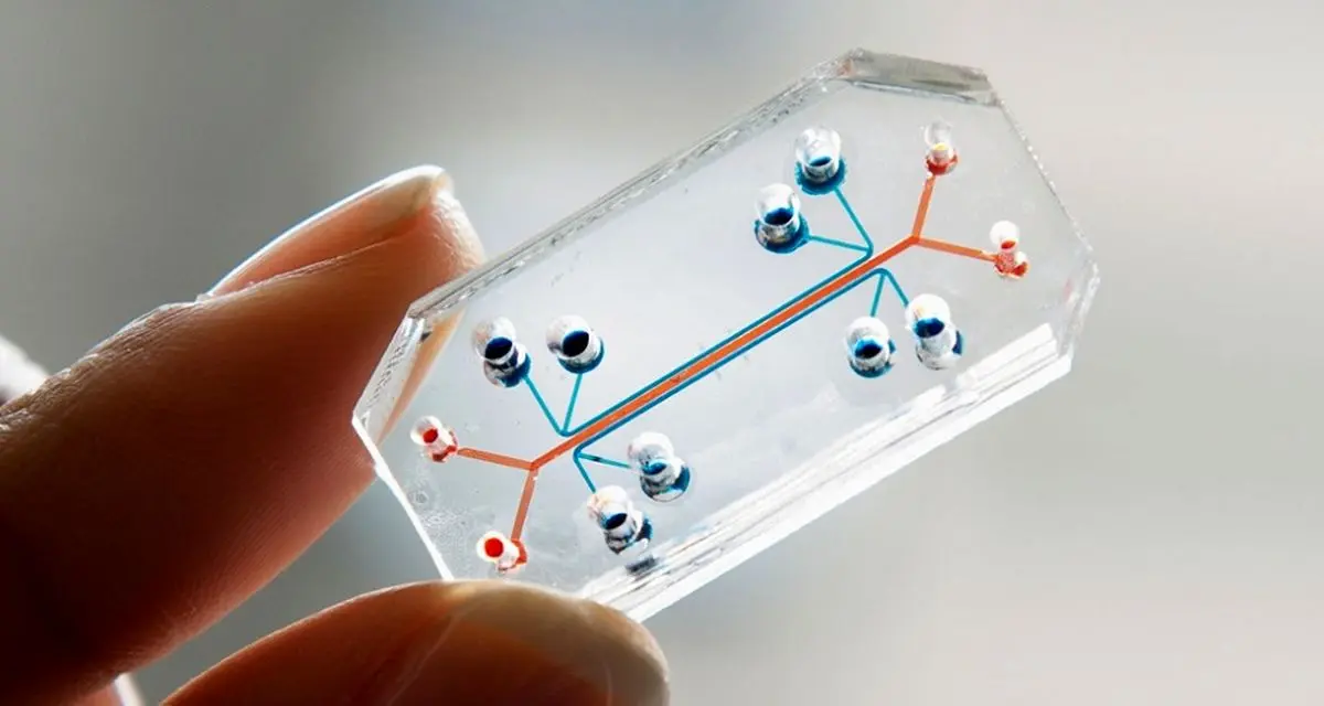 Google Glass در خدمت فناوری 'اعضا بر روی تراشه'