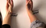 نشانه های تکامل که هنوز در بدن ما پیدا است