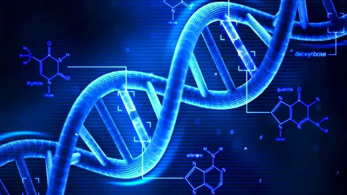DNA انسان، مخفیگاه ویروس های قدیمی