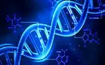 DNA انسان، مخفیگاه ویروس های قدیمی