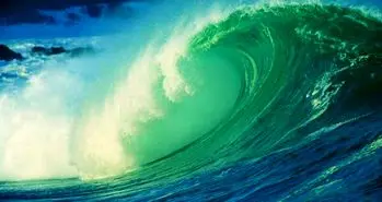 تاثیرات بد اِل نینو روی زنجیره غذای دریایی