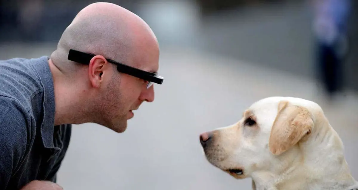 جدیدترین روش تشخیص هویت؛ آنالیز اطلاعات بیومتریک جمجمه