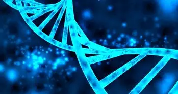 اولین نرم افزار تشخیص و پیشگیری سرطان