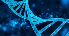 اولین نرم افزار تشخیص و پیشگیری سرطان
