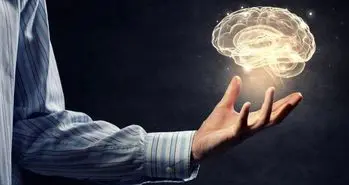 کلمات کجای مغز ما ذخیره می شوند؟