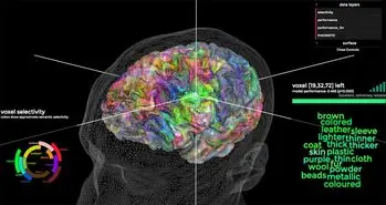 بخش مسئول پردازش معانی و مفاهیم در مغز کشف شد
