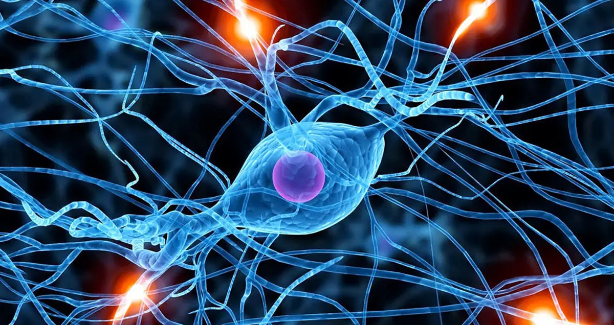 تولید تجهیزات تست و آزمایش علوم اعصاب در داخل کشور