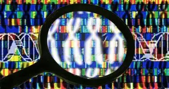 طرح محرمانه سنتز ژنوم انسان به جنجال کشیده شد