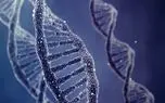 لیزردرمانی موجب آسیب به DNA انسان می شود