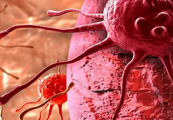 رمزگشایی از زبان پنهان سرطان
