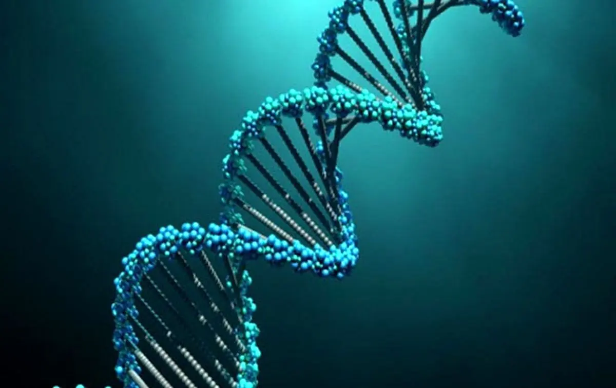 تکثیر نانوربات‌های ساخته شده از دی‌ان‌ای با استفاده از نور فرابنفش
