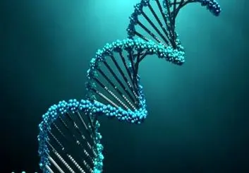 تکثیر نانوربات‌های ساخته شده از دی‌ان‌ای با استفاده از نور فرابنفش
