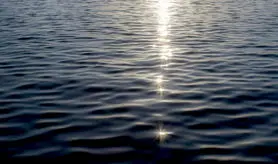 حسگر زیستی خودتوان آلودگی آب را تشخیص می‌دهد
