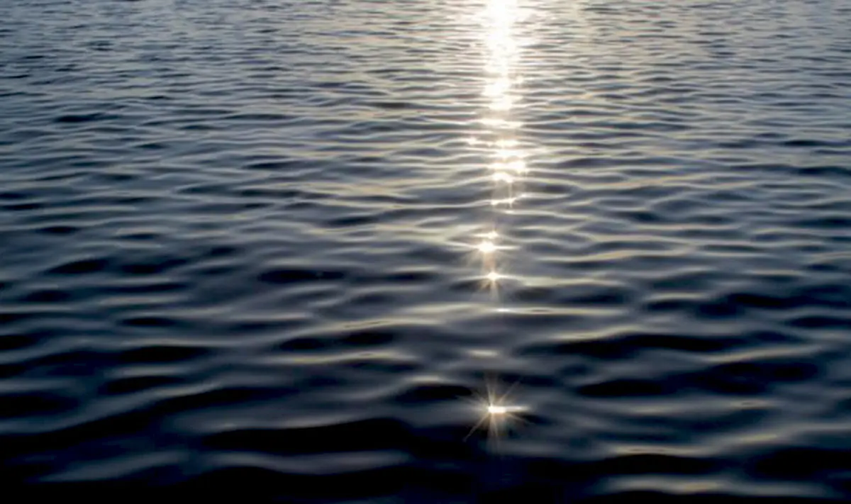 حسگر زیستی خودتوان آلودگی آب را تشخیص می‌دهد
