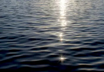 حسگر زیستی خودتوان آلودگی آب را تشخیص می‌دهد
