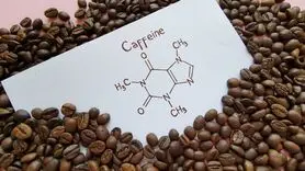 ارتباط قهوه و مغز + نکات جالب درمورد کافئین و سطح هوشیاری