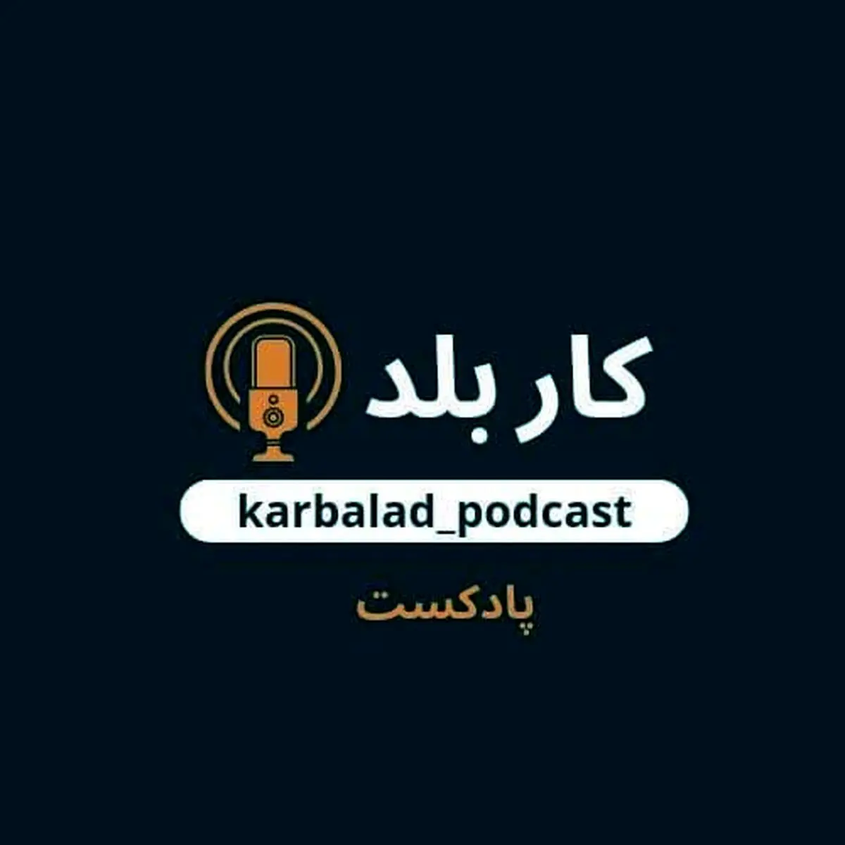 پادکست کاربلد؛ روایتی جذاب، متفاوت و شنیدنی از داستان زندگی و مسیر شغلی آدم های کاربلد
