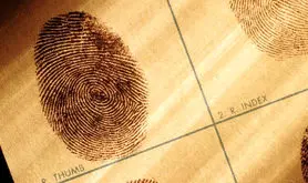 کشف جدید محققان با هوش مصنوعی: اثر انگشت‌های ما ظاهراً منحصربه‌فرد نیست!