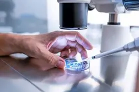 دانشمندان از سلول‌های ریه انسان ربات ساختند!
