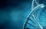 منتظر کامپیوترهای نسل جدید DNA باشید