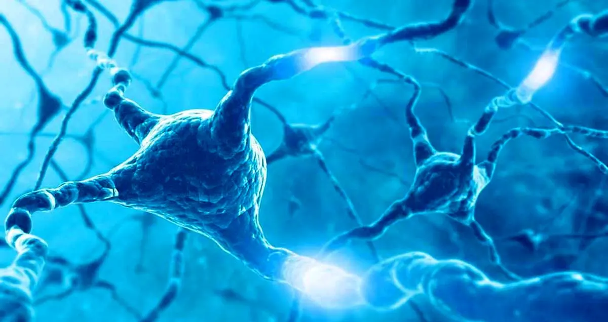 ساخت مدار الکترونیکی جالب با عملکردی شبیه مغز انسان