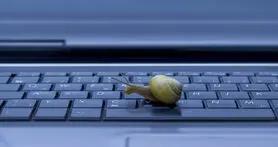 بررسی دلایل کند شدن کامپیوتر و راه‌های رفع مشکل