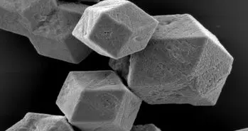 سرانجام بینی مصنوعی توانست بو را حس کند