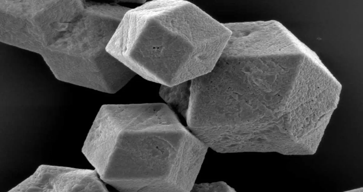 سرانجام بینی مصنوعی توانست بو را حس کند