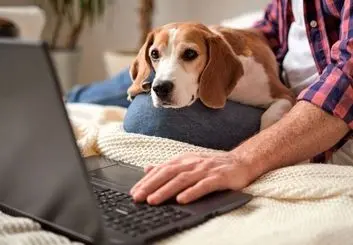 دامپزشک آنلاین چه خدماتی ارائه میده و مزایاش چیه؟