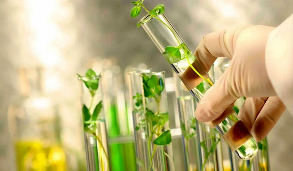 نوعی باکتری جایگزین کود شیمیایی می شود
