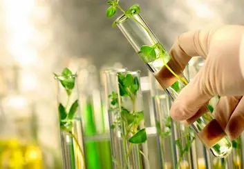 نوعی باکتری جایگزین کود شیمیایی می شود
