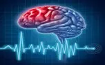 ایران در مسابقات Brain Bee خوش درخشید
