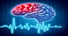 ایران در مسابقات Brain Bee خوش درخشید