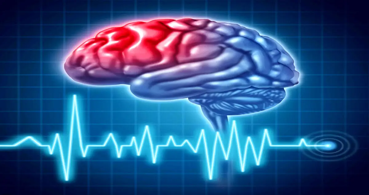 ایران در مسابقات Brain Bee خوش درخشید