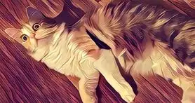 Prisma؛ اپلیکیشنی ویژه برای طرفداران اینستاگرام