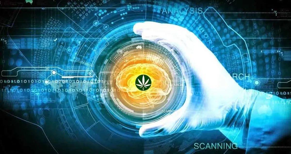 آیا ابداع محقق ایرانی به مبتلایان سرطان مغز و کبد دنیا کمک می کند؟