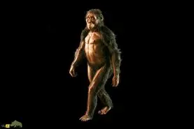 کشف معمای فسیل‌های ۳.۴ میلیون ساله‌ مرموز اتیوپی