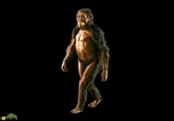 کشف معمای فسیل‌های ۳.۴ میلیون ساله‌ مرموز اتیوپی