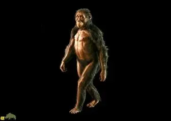 کشف معمای فسیل‌های ۳.۴ میلیون ساله‌ مرموز اتیوپی