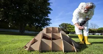 مبلمان حیاط خود را با روشی جالب پرورش دهید!