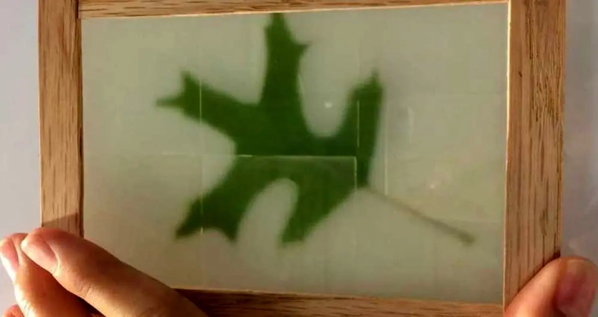 ساخت پنجره‌ای عجیب با چوب شفاف