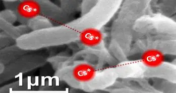 ساخت مولکول دواتمی غول‌آسا